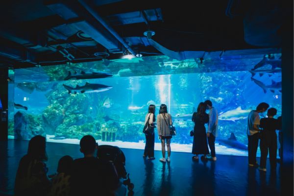 things to do in seoul