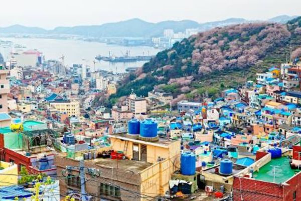 Unique Things to Do in Busan