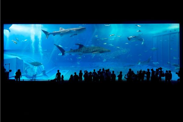 things to do in seoul