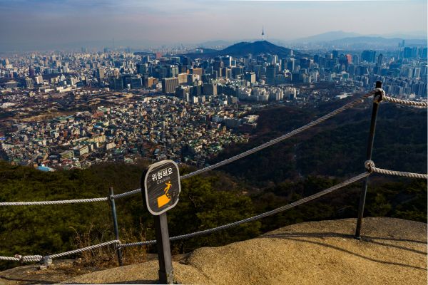 things to do in seoul in august