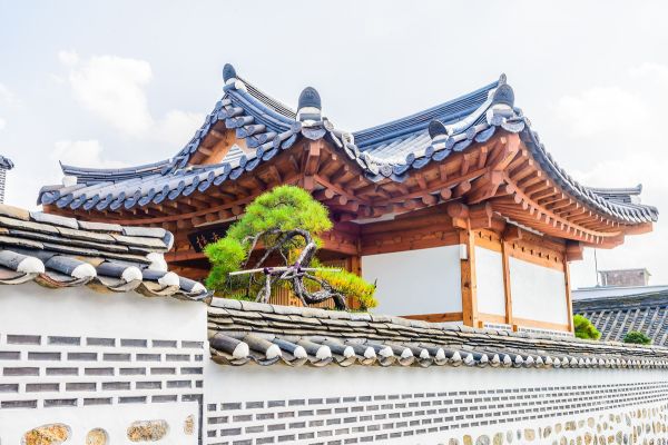 things to do in seoul in july