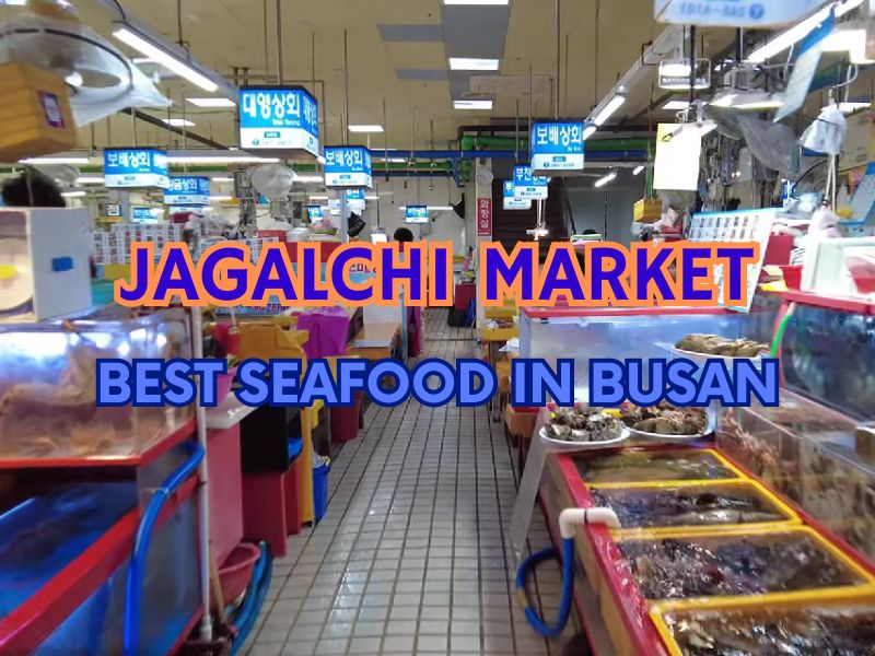 jagalchi market