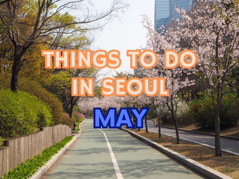 things to do in seoul in May