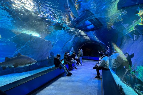 Sea Life Busan Aquarium