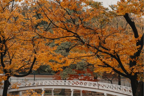 things to do in seoul in october