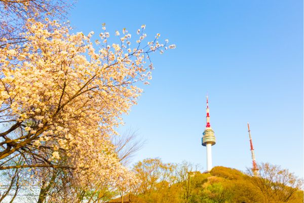Namsan Seoul Tower