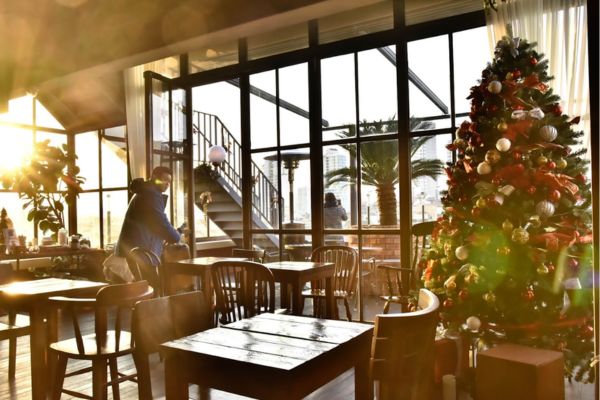 Best Coffee Shops in Seoul