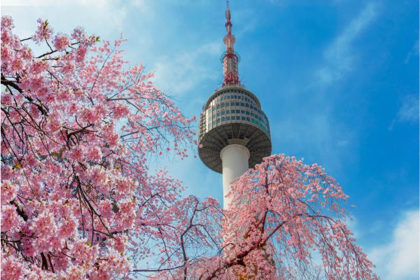 Spring (March–May) – Morning or Afternoon