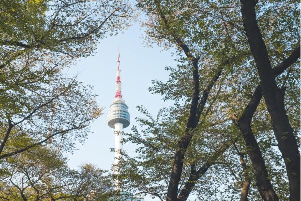 namsan seoul tower ummer (June–August) – Evening or Night