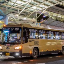 Incheon Airport Limousine Bus Ticket
