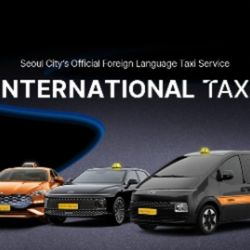 Private Incheon Airport Taxi Transfer to Seoul